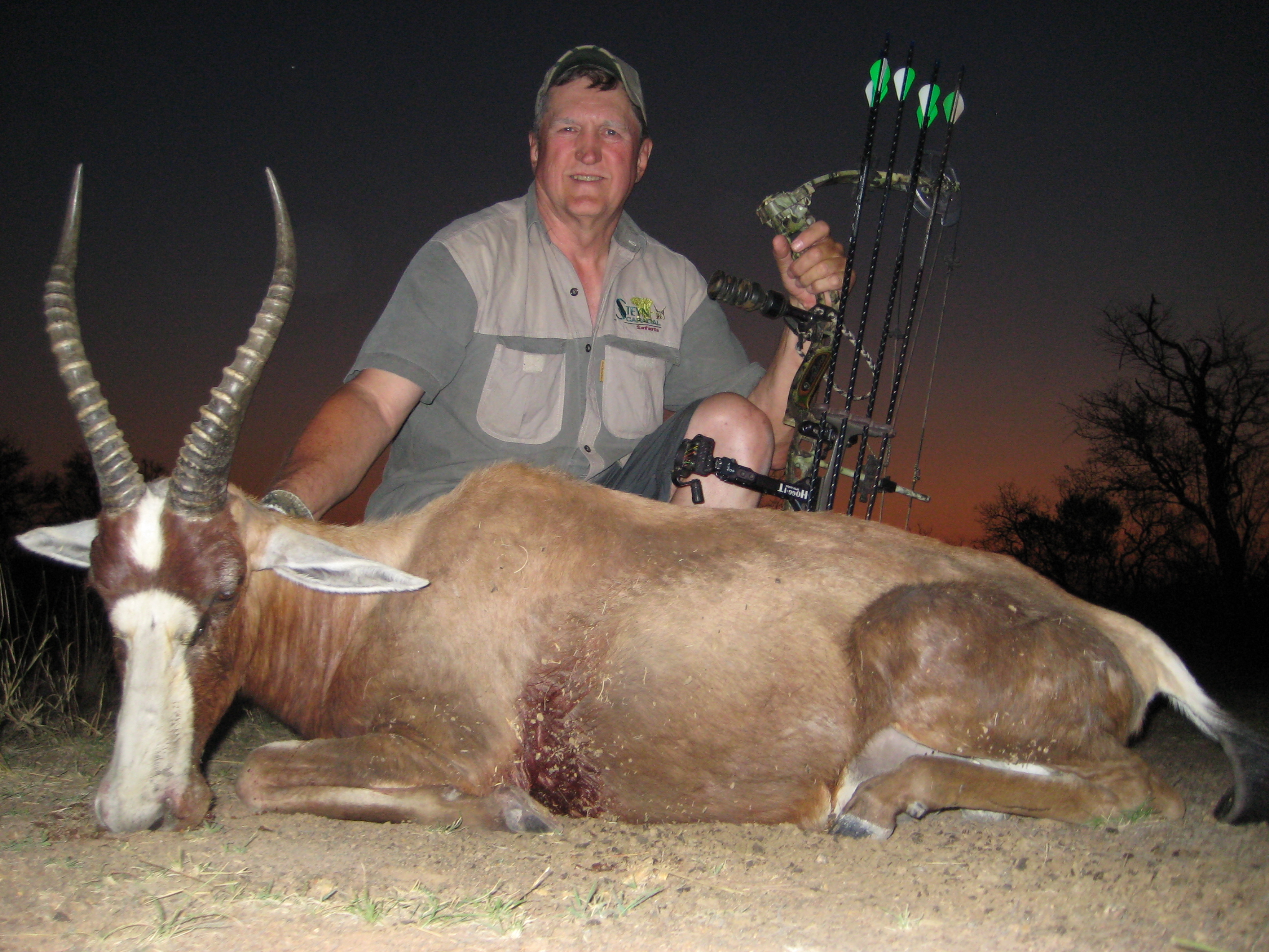 Blesbok2008.JPG