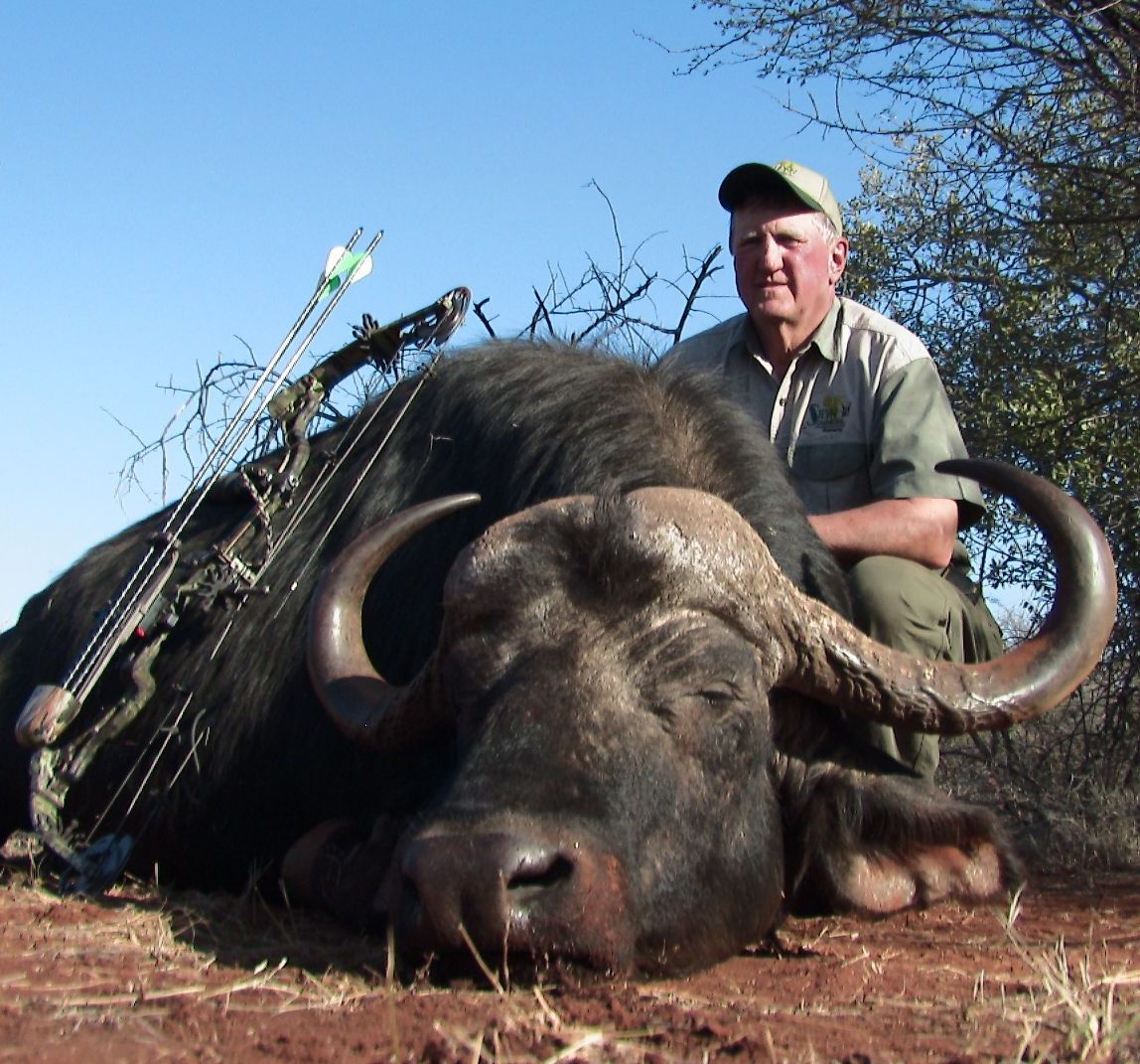 CapeBuffalo2007.jpg