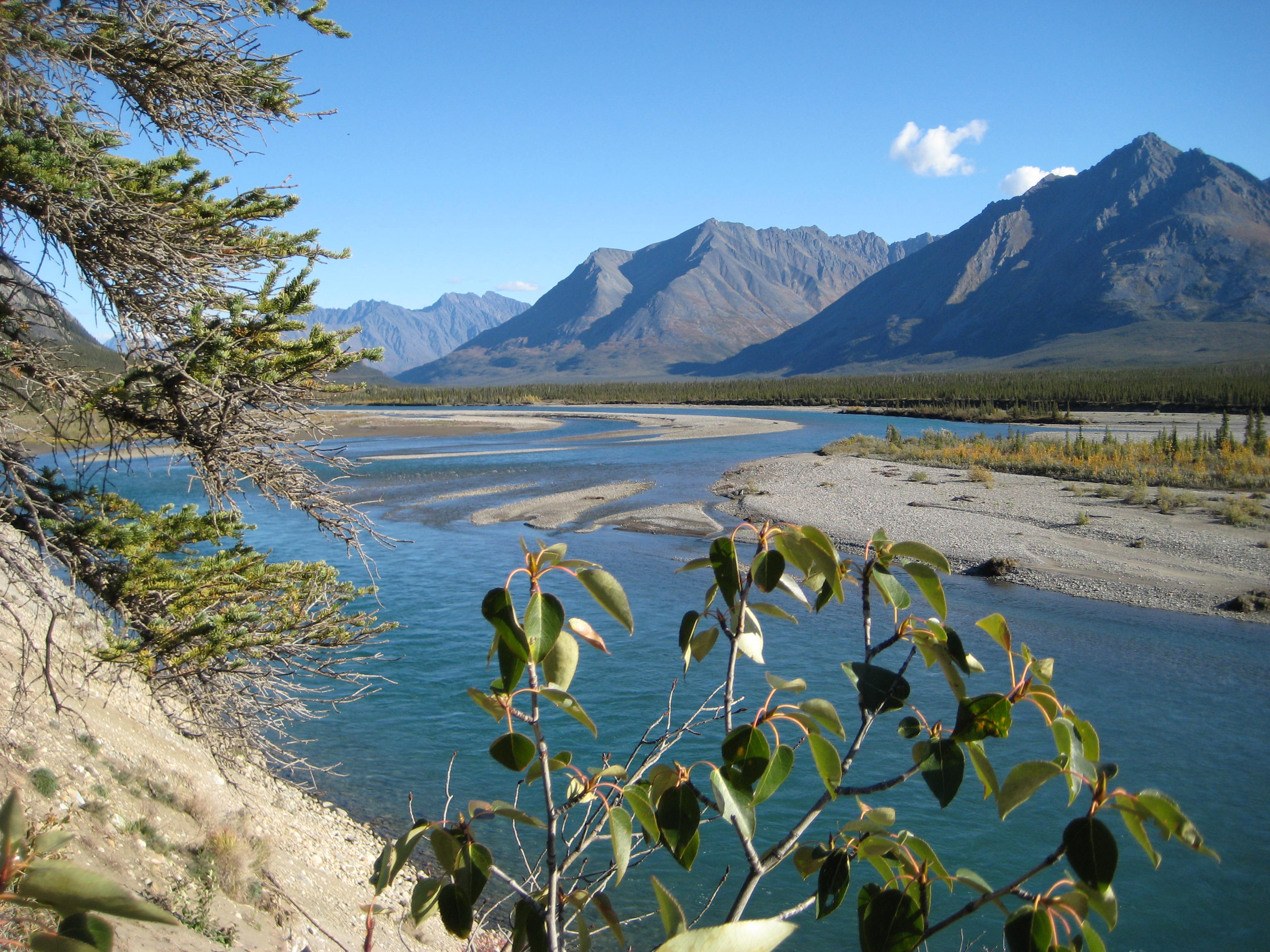 YukonBP2007.jpg