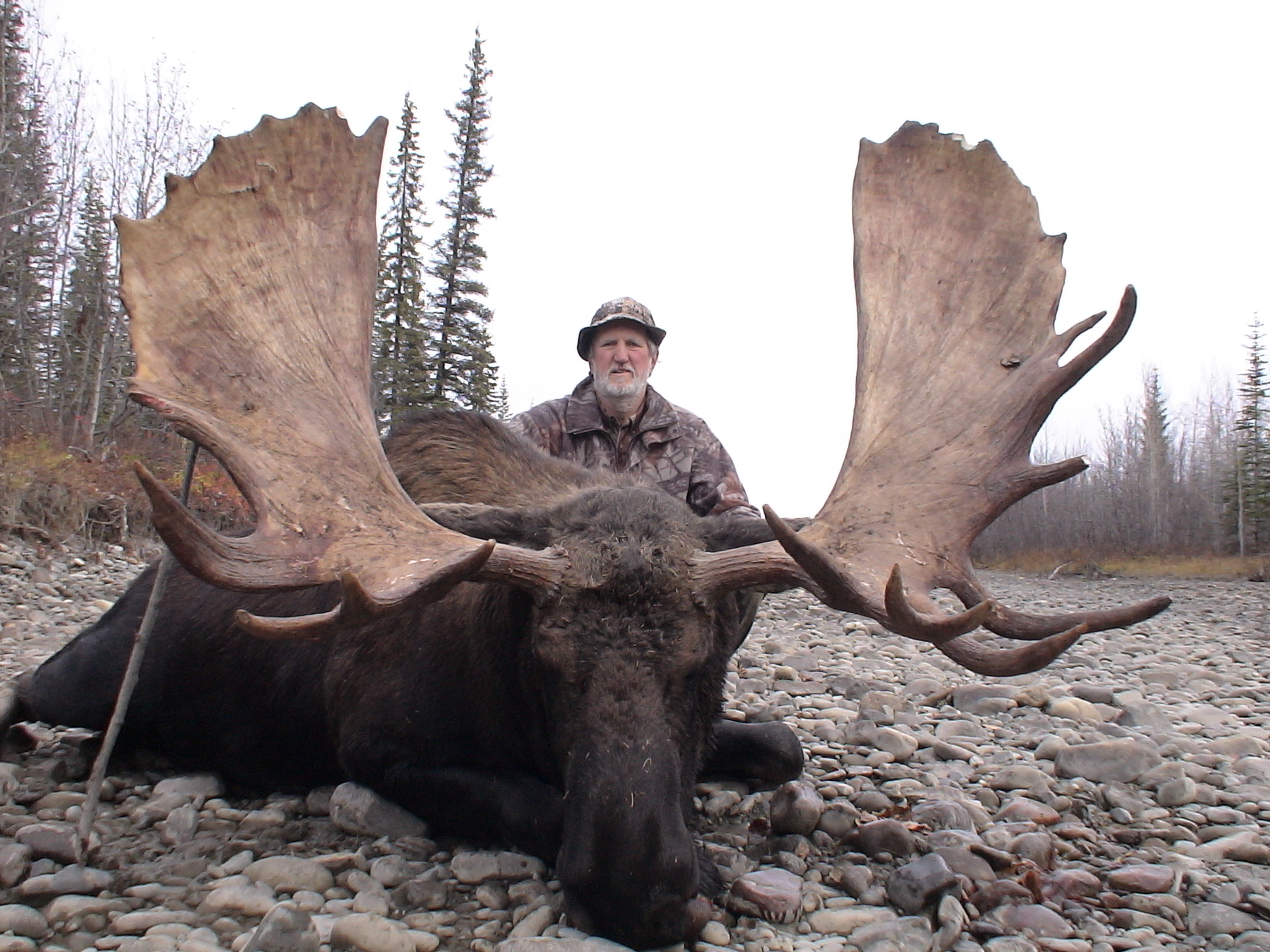 yukonmoose2005.jpg